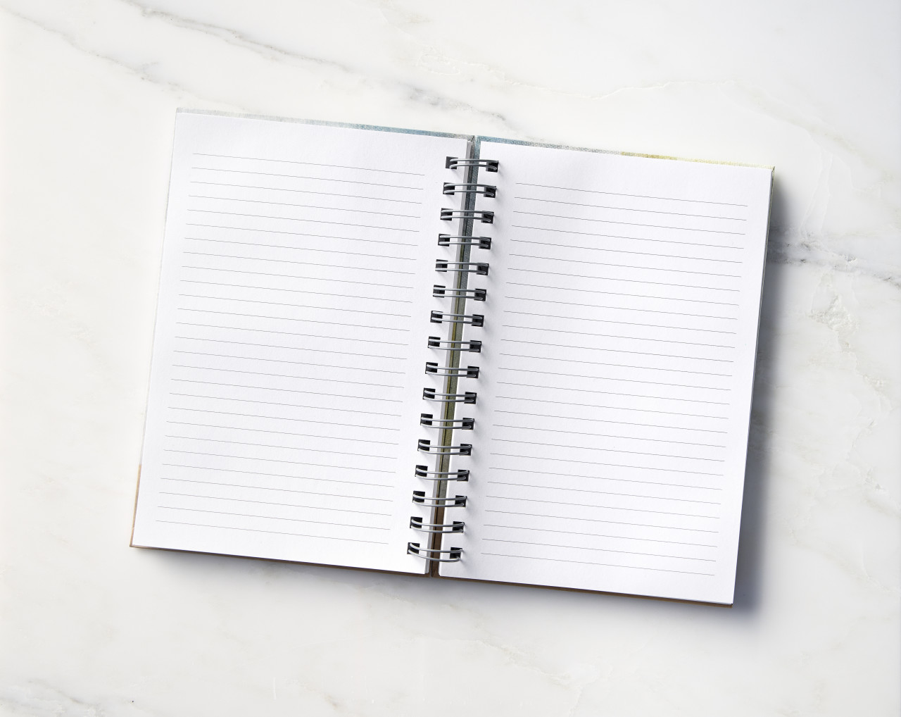 Music Speaks Notebook by Susan Lordi